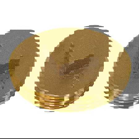 3 in. Raised Head Brass Plug